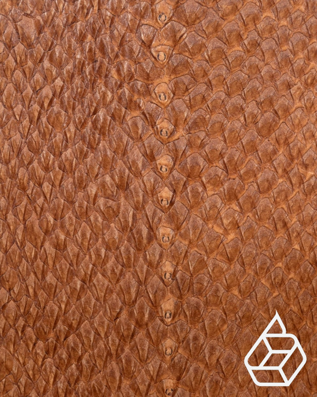 Fish leather with closed scales and silk gloss - Cognac - | Salmon closed Collection