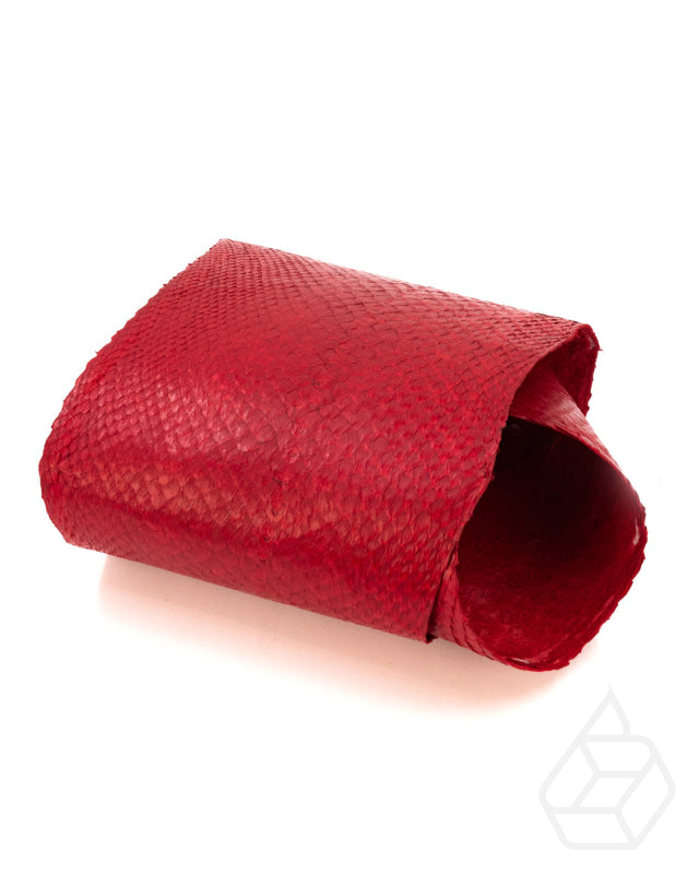 Salmon Closed Collection | Fish Leather With Scales And Silk Gloss Red Leer