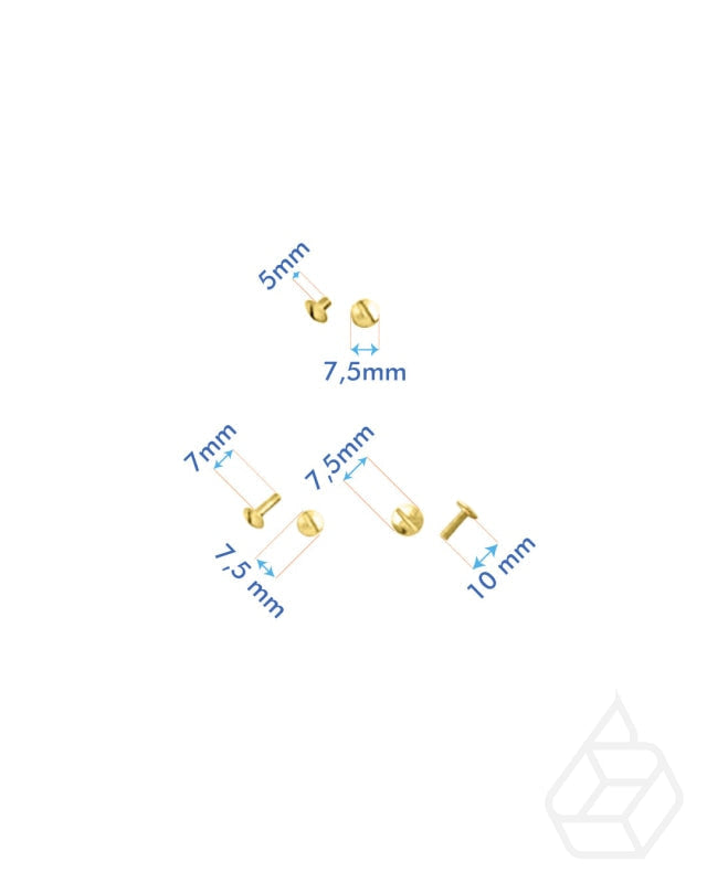 Schroeven | Goud En Zilver (10 Stuks) Fournituren